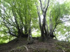 Jastrz�bia G�ra 03-09.07.2011r
